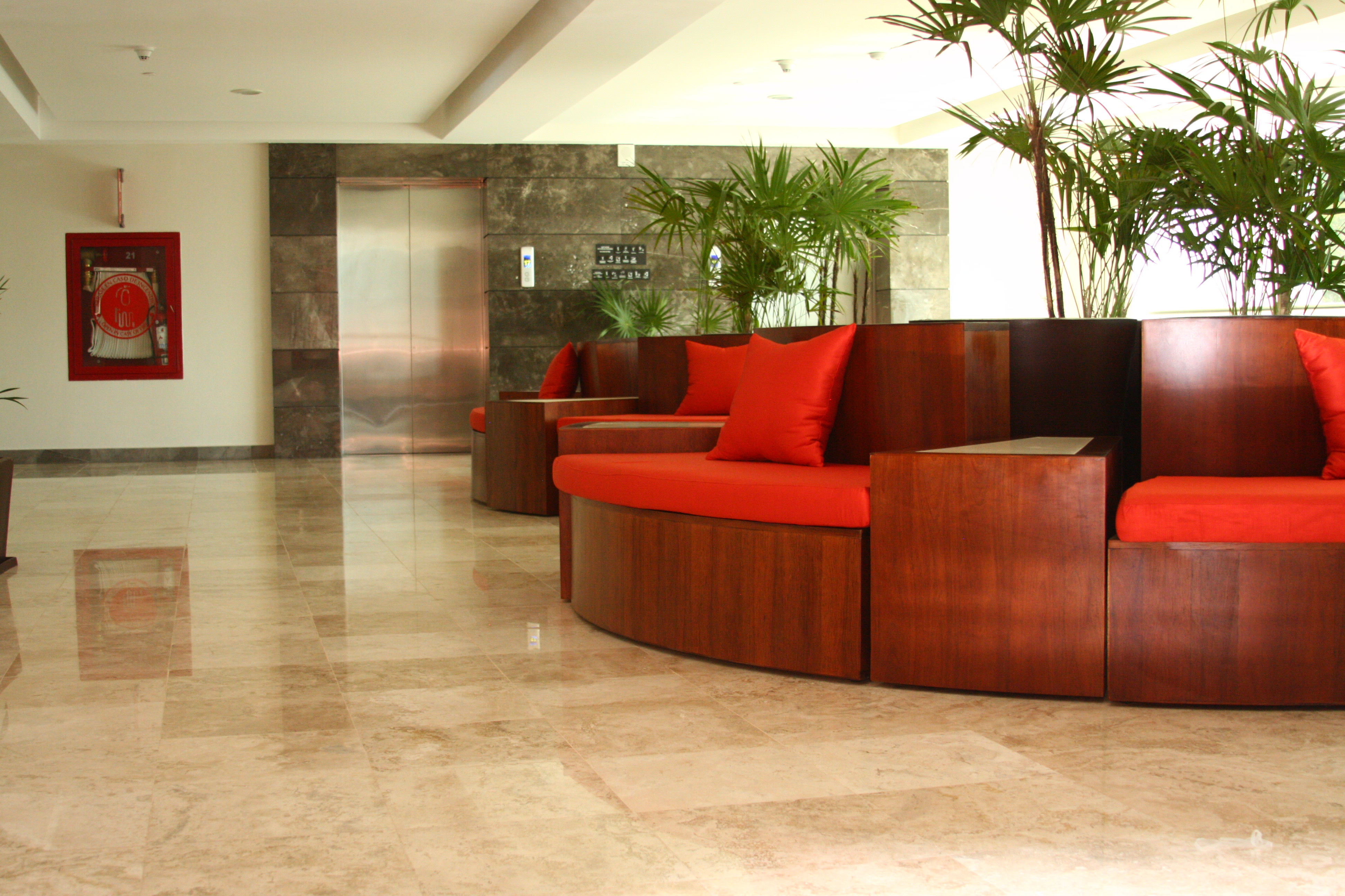 DFN-la-casa-dei-limoni-BRUNELLESCHI-ESSENTIAL-PREVIEW